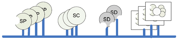 Copy of original 3GPP image for 3GPP TS 32.101, Fig. 2c: Information transfer bus supporting SOA elements