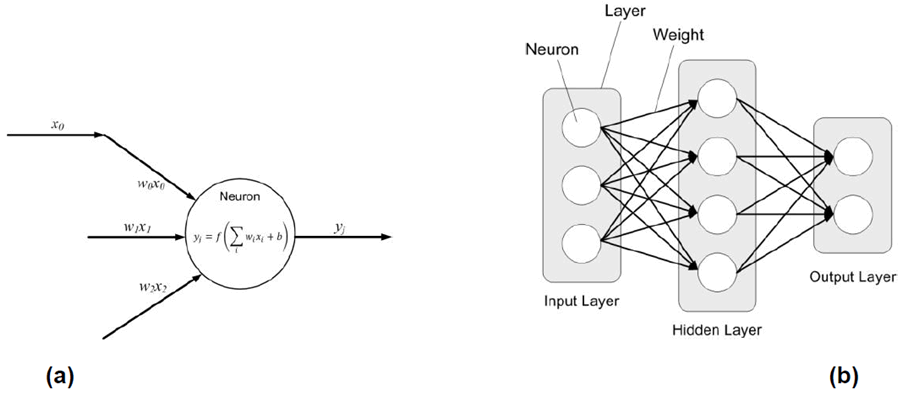 Copy of original 3GPP image for 3GPP TS 22.874, Fig. A.2-1: Architecture of neuron and neural network