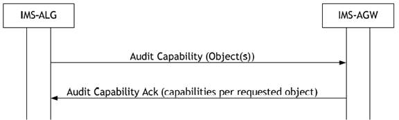 Copy of original 3GPP image for 3GPP TS 23.334, Fig. 6.1.8.2.1: Audit Capability