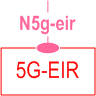 Symbolic representation of 5GS N5g-eir services