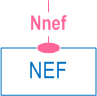 Symbolic representation of 5GS Nnef services