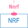 Symbolic representation of 5GS Nnrf services