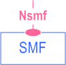 Symbolic representation of 5GS Nsmf services