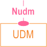 Symbolic representation of 5GS Nudm services