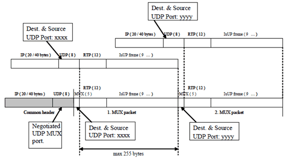 Copy of original 3GPP image for 3GPP TS 25.444, Fig. 2: Example of multiplexed packet with two RTP frames